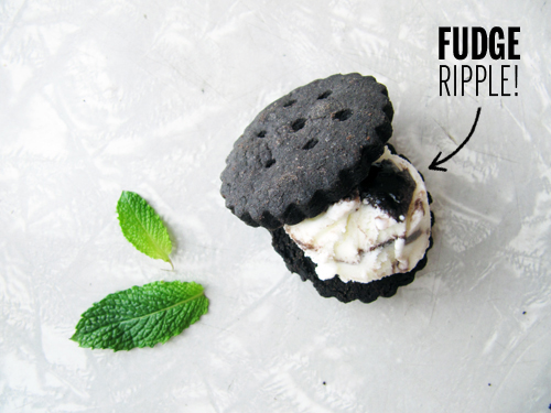 Mint Fudge Ripple Ice Cream Sandwiches // take a megabite