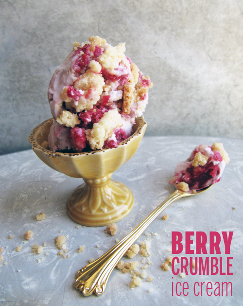 Berry Crumble Ice Cream // take a megabite