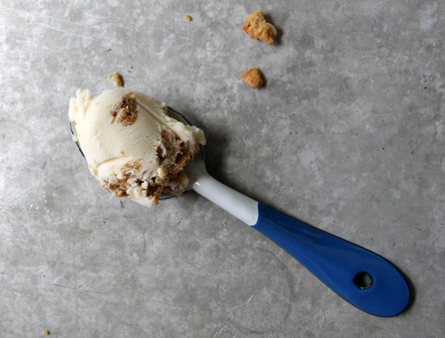 Maple Oatmeal Cookie Ice Cream // take a megabite