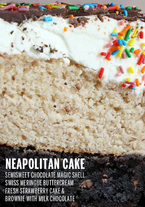 Neapolitan Cake // take a megabite