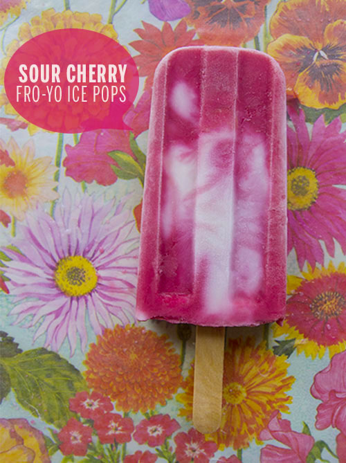 Sour Cherry Fro-Yo Ice Pops // take a megabite